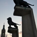 lions-624300_960_720